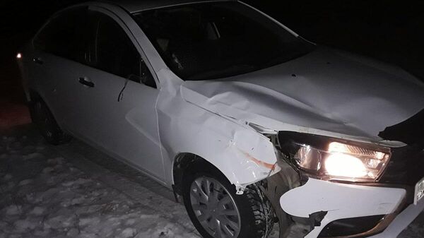 Два автомобиля одновременно врезались в беспризорный табун лошадей в СКО - Sputnik Казахстан