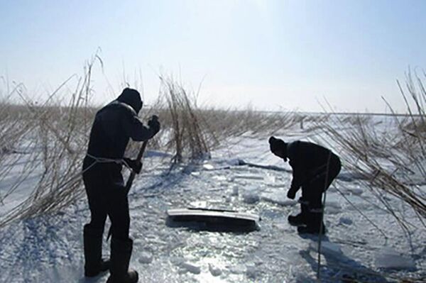Водолазы на Бухтарминском водохранилище, где под лед ушел автомобиль - Sputnik Казахстан