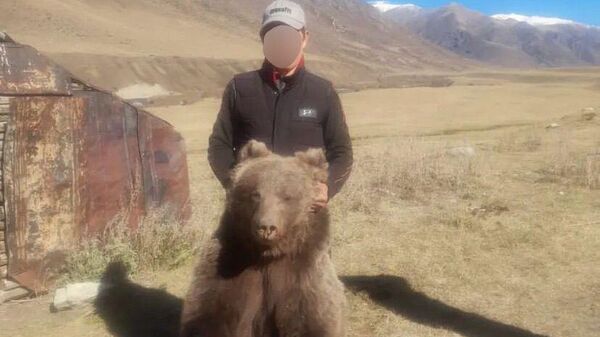 Полиция Жетысу нашла мужчину, сфотографировавшегося с мертвым медведем - Sputnik Қазақстан