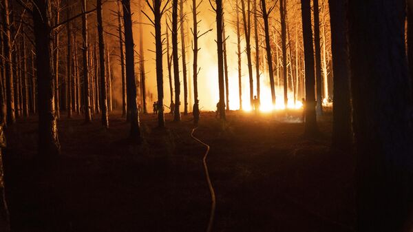 Жители деревни тушат пожар, охвативший лес недалеко от Итузаинго, провинция Корриентес, Аргентина - Sputnik Казахстан