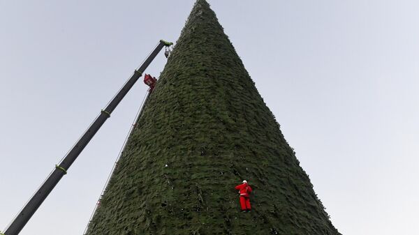 Монтажник в костюме Деда Мороза устанавливает главную городскую елку высотой 55 метров (самую высокую в России) при температуре -20 градусов в Красноярске - Sputnik Казахстан