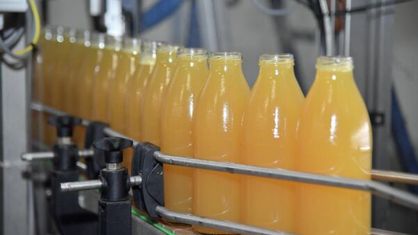 В Туркестанской области увеличился объем промышленной продукции  - Sputnik Қазақстан