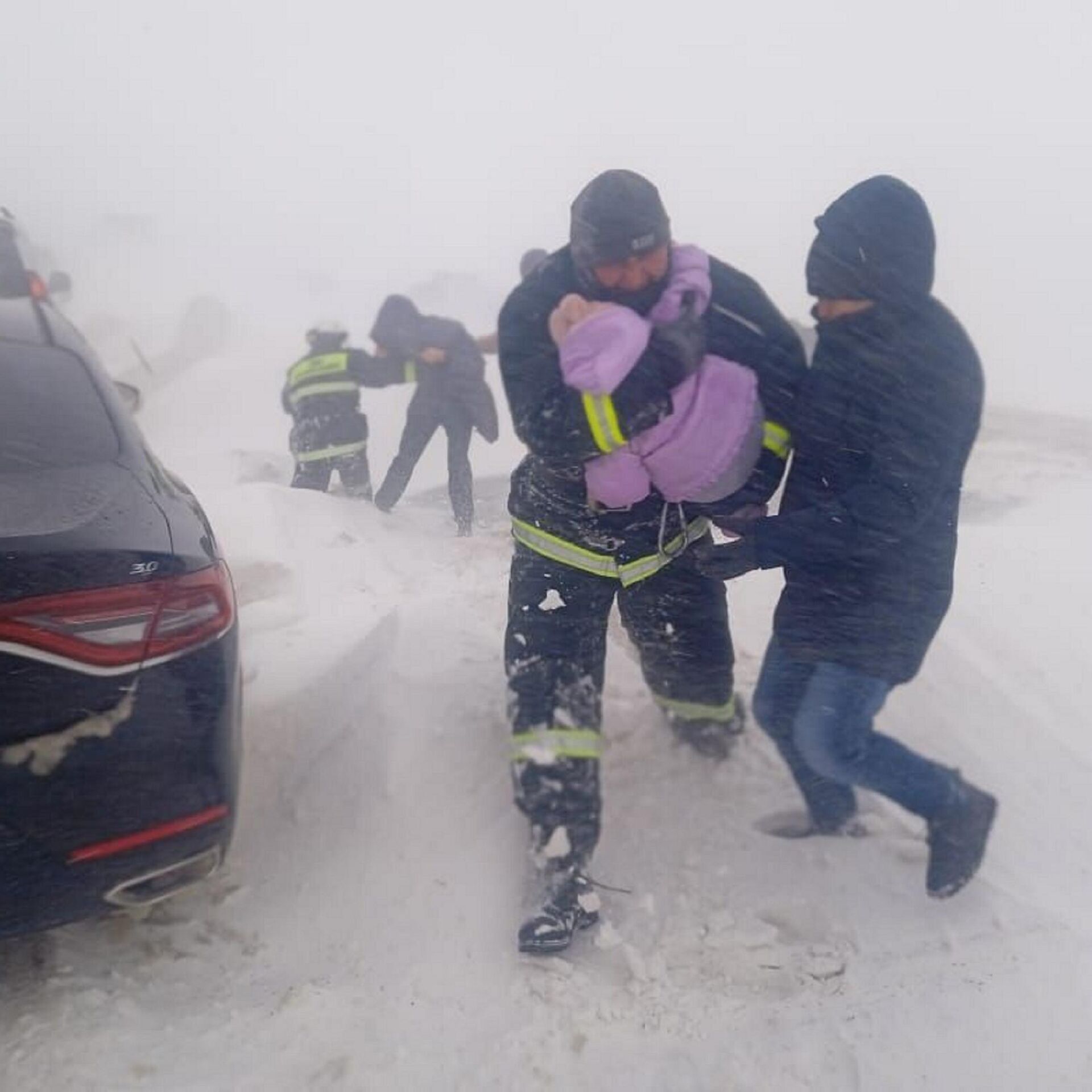 джигита дерево в казахстане