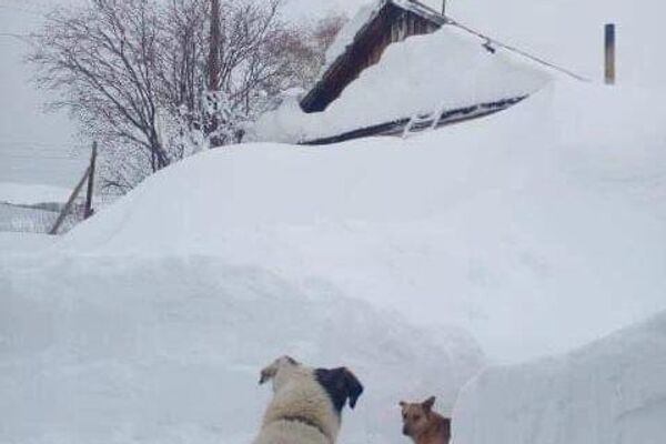 Деревня Феклистовка утопает в снегу - Sputnik Казахстан