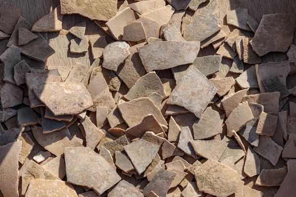 Помимо страусиных яиц, археологи нашли обожженные камни, кремень и каменные орудия, а также черепки глиняной посуды. - Sputnik Казахстан