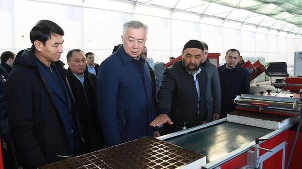 Вице-премьер встретился с представителями тепличных хозяйств в Туркестанской области - Sputnik Казахстан