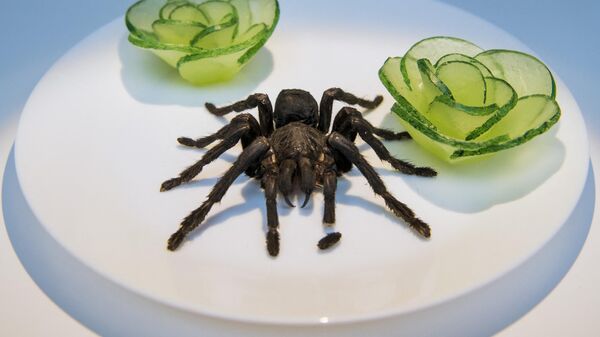 Жареный тарантул из Камбоджи - Sputnik Казахстан
