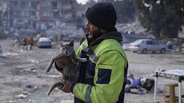 Мужчина держит спасенную кошку, Турция - Sputnik Қазақстан