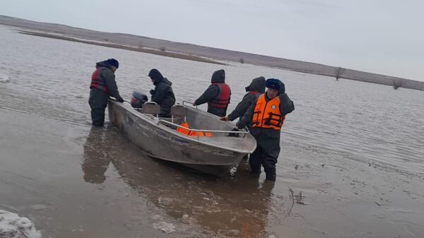 Стадо коров и табун лошадей вытащили из поднявшейся реки спасатели Актюбинской области - Sputnik Казахстан