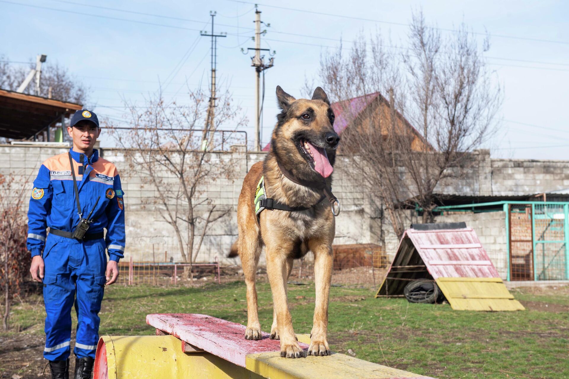 Кинолог и собака-спасатель Джейкоб - Sputnik Казахстан, 1920, 16.03.2023