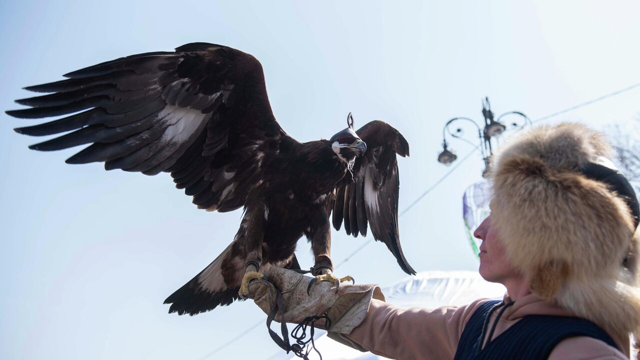 Әдемі брюнеткамен топтық секс