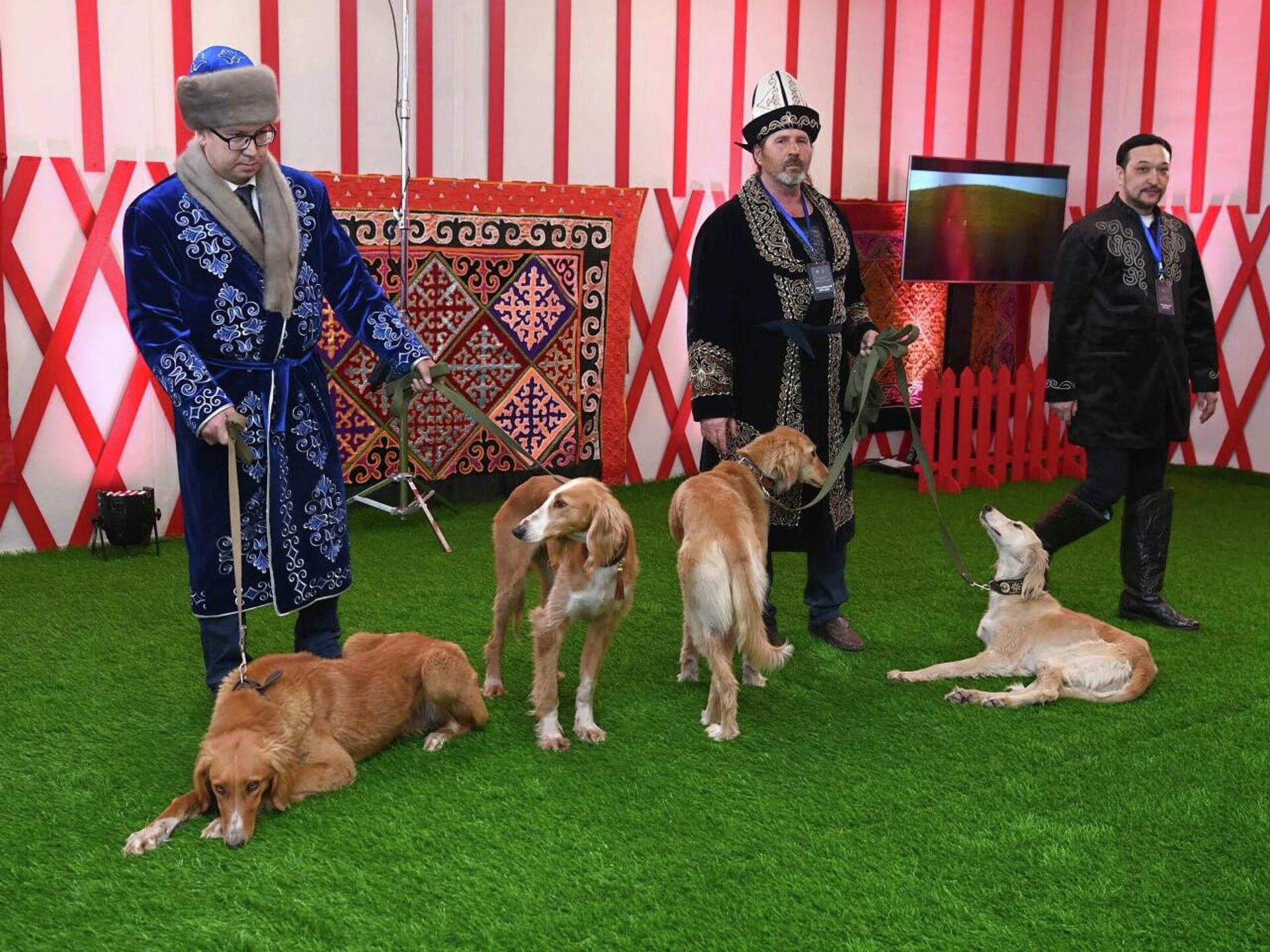 Токаев осмотрел выставку собак породы тазы в Астане - Sputnik Казахстан, 1920, 21.03.2023