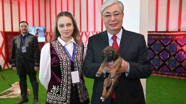 Токаеву подарили щенка тазы по кличке Наурыз - Sputnik Казахстан