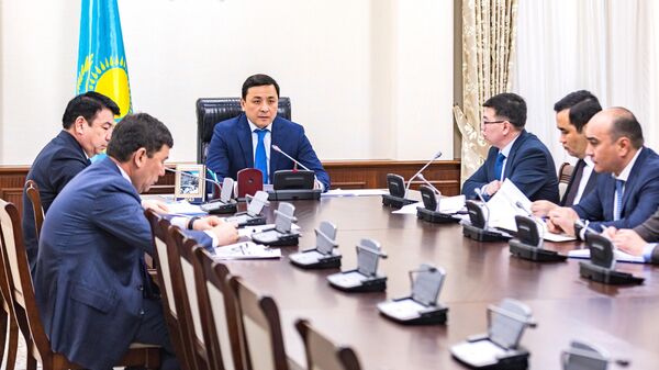 Кульгинов провел совещание по детскому досугу и оздоровлению - Sputnik Казахстан