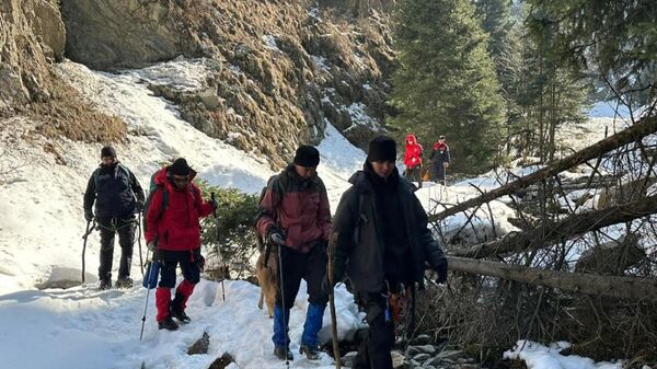 Спасатели Алматы нашли двух туристов в горах Заилийского Алатау
 - Sputnik Казахстан