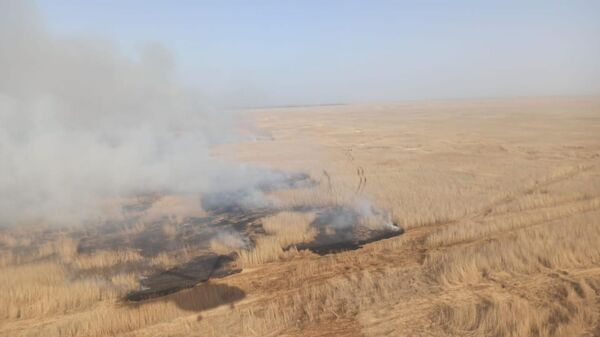 Четвертые сутки продолжается ликвидация возгорания камыша в Атырауской области - Sputnik Казахстан
