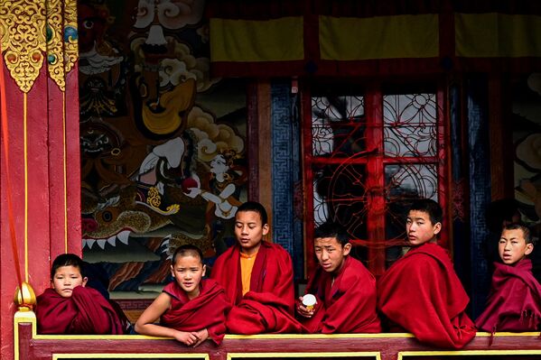 Употребляй здоровую пищу. Она - источник твоей энергии. На фото: юные буддийские монахи в главном монастыре Таванг. - Sputnik Казахстан