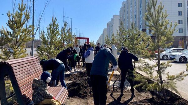 Астанада биыл бір миллион ағаш отырғызылады - Sputnik Қазақстан