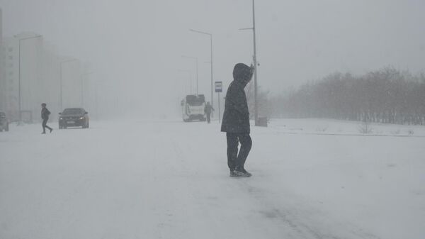 Апрельский снегопад в Астане - Sputnik Казахстан