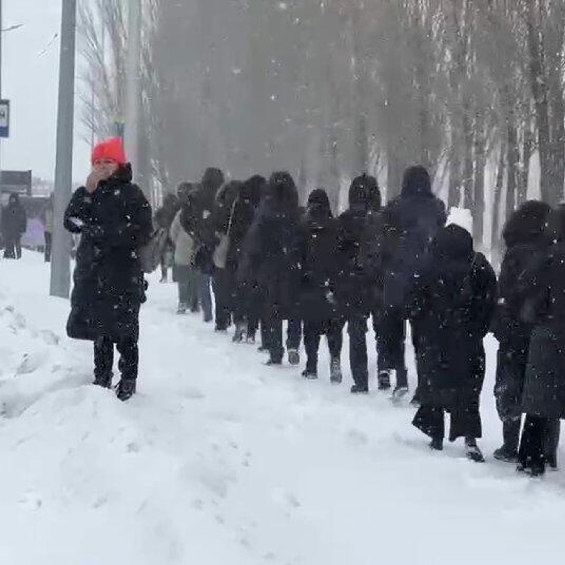 Снег в казахстане сегодня 2024. Зима. Зимой. Снегопад. Казахстан зимой.