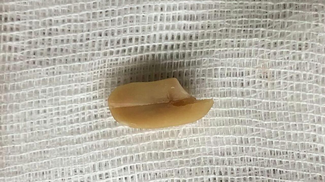 Американдық сұлулық эротикалық көріністері