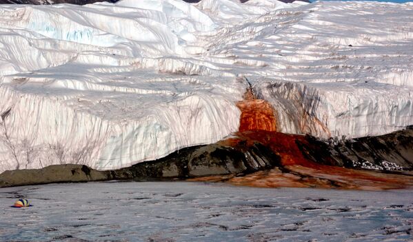 &quot;Кровавый водопад&quot; на леднике Тейлор в Антарктиде. Выглядит это место поистине жутко: водопад напоминает нескончаемый поток крови, вырывающейся из-под земли. На самом же деле это вода из подземного озера, богатого железом. - Sputnik Казахстан