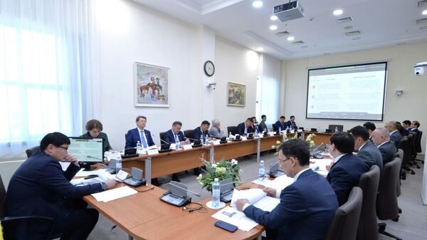 В мажилисе представили подходы к формированию нового Налогового кодекса - Sputnik Казахстан