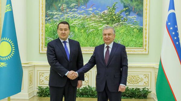 Премьер-министр Казахстана Алихан Смаилов встретился в Ташкенте с президентом Узбекистана Шавкатом Мирзиеевым - Sputnik Казахстан