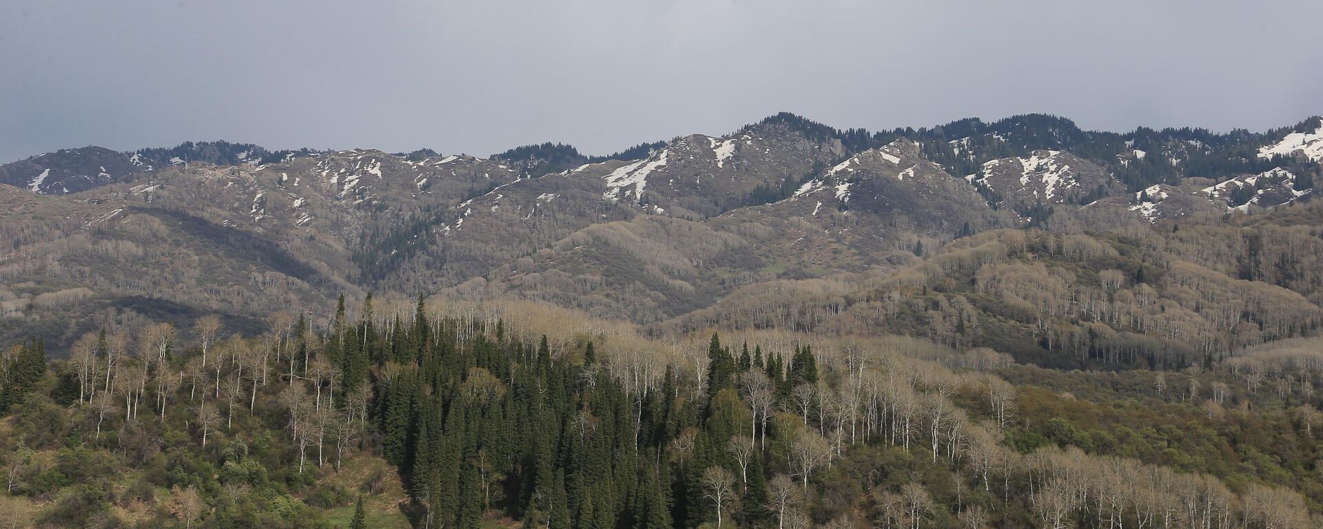 Жетысуская область - Sputnik Казахстан, 1920, 31.03.2026