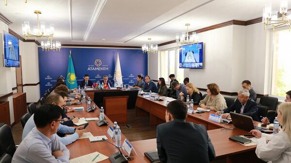 В Астане прошло заседание Общественной приемной профильного блока ЕЭК  - Sputnik Казахстан