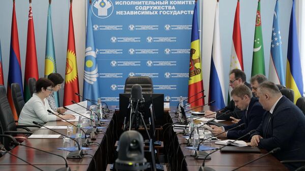 Эксперты стран СНГ согласовали проект Соглашения об образовании Международного центра оценки рисков легализации преступных доходов - Sputnik Казахстан
