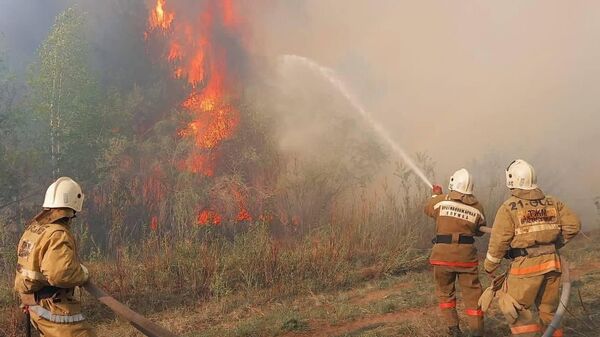 Лесной пожар в Абайской области - Sputnik Казахстан