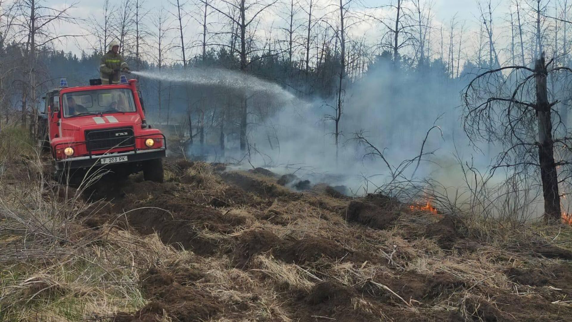 Лесной пожар в Абайской области - Sputnik Қазақстан, 1920, 25.05.2023