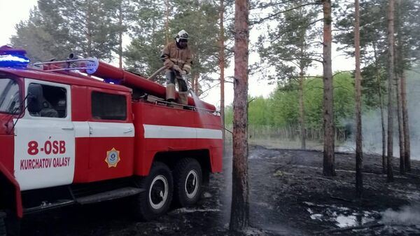 Лесной пожар в Абайской области - Sputnik Қазақстан