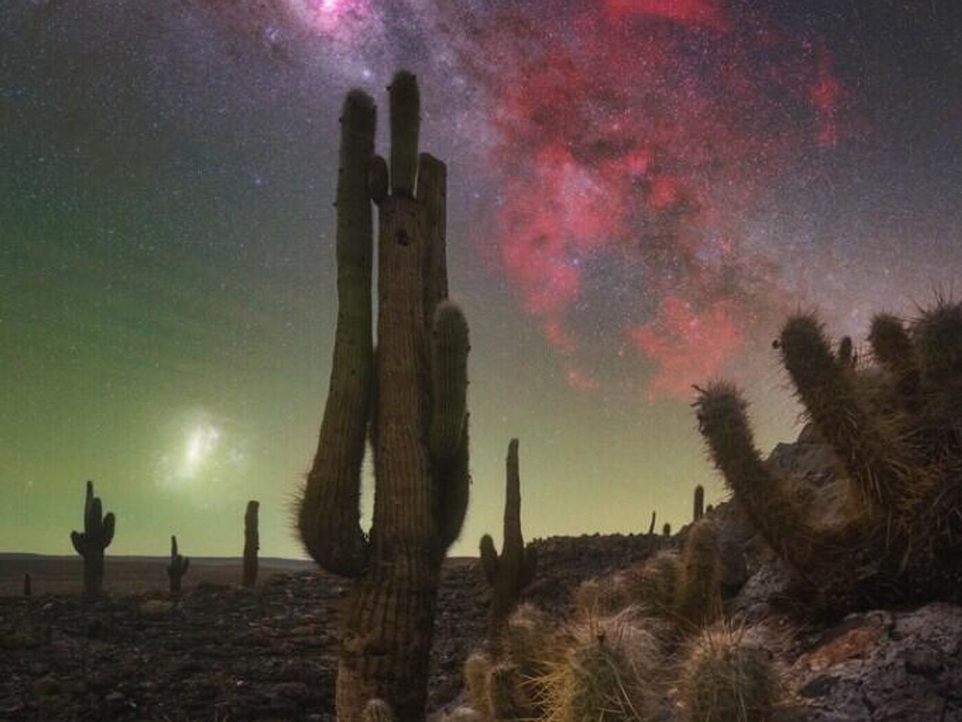 Ер адам әйелінің мысығын жалап, ол видео жаза бастайды Айна алдында оның кискасын тарату