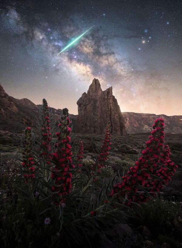&quot;Соборное световое шоу&quot; Роксоляны Гилевич. Этот снимок сочетает в себе яркое ночное небо, динамичный пейзаж, красивые цветы и случайный метеор. - Sputnik Казахстан