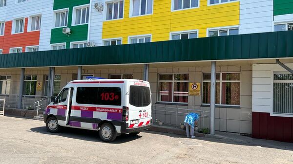 Ушибленные раны носа, ротовой полости и подбородка получили дети на
аттракционе в парке Петропавловска - Sputnik Казахстан