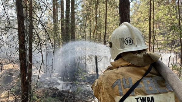 Пожарные продолжают бороться с огнем в лесах Абайской области - Sputnik Казахстан