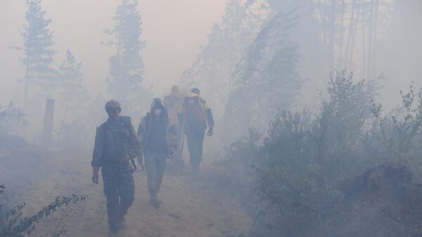 Лесные пожары, архивное фото - Sputnik Казахстан