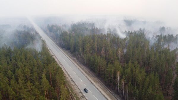 Дым от пожара в лесном массиве, архивное фото - Sputnik Казахстан