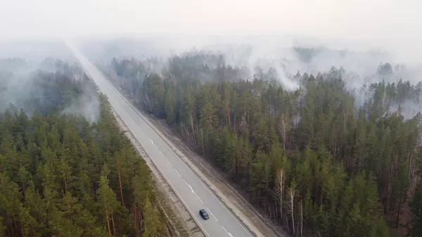 Дым от пожара в лесном массиве, архивное фото - Sputnik Қазақстан