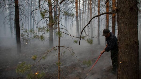 Тушение пожара в Абайской области - Sputnik Казахстан