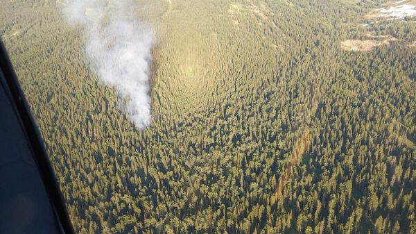 Лесной пожар в Восточном Казахстане - Sputnik Казахстан