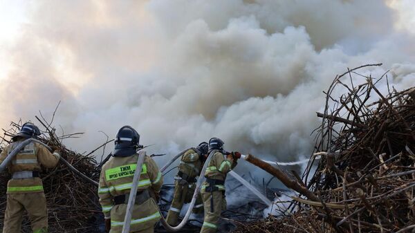 Пожарные тушат возгорание сухостоя под Астаной - Sputnik Казахстан