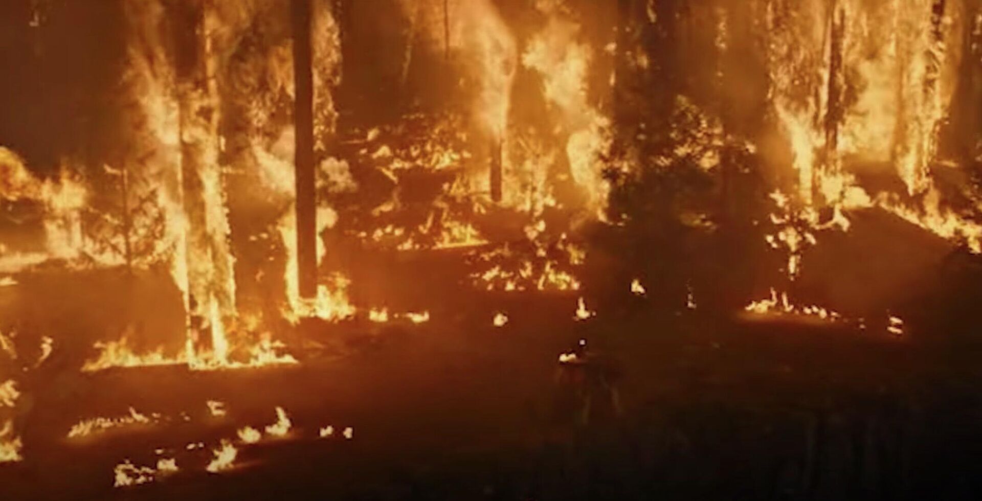 Клип в поддержку пожарных, борющихся с огнем в лесу, сняла сотрудница ДЧС СКО - Sputnik Казахстан, 1920, 20.06.2023