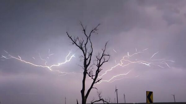 Молния дорисовала дерево - видео - Sputnik Казахстан