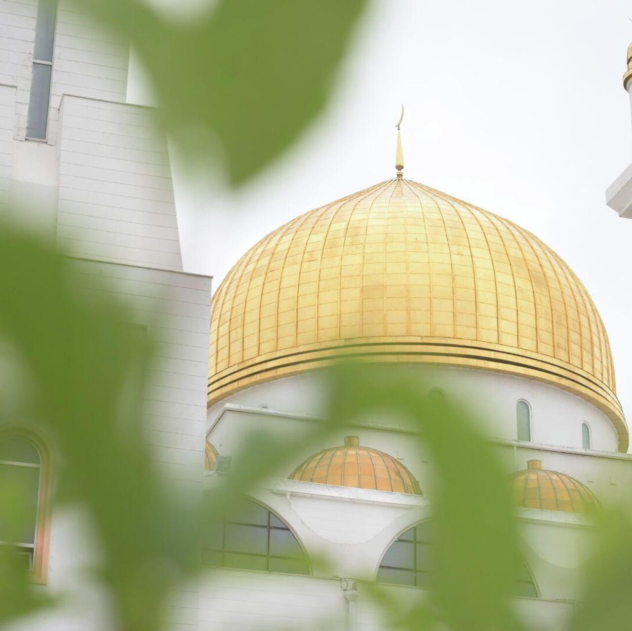 Қатты созылған қынаптардың фотосуреттері