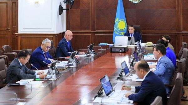 В правительстве обсудили модернизацию сельского здравоохранения - Sputnik Казахстан