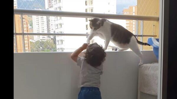 Кошка охраняет маленького человека - Sputnik Казахстан