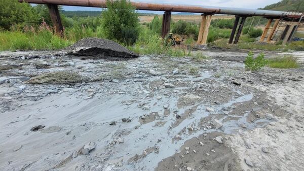 Открыта внеплановая проверка в отношении ТОО Казцинк по факту загрязнения реки Филиповка - Sputnik Казахстан